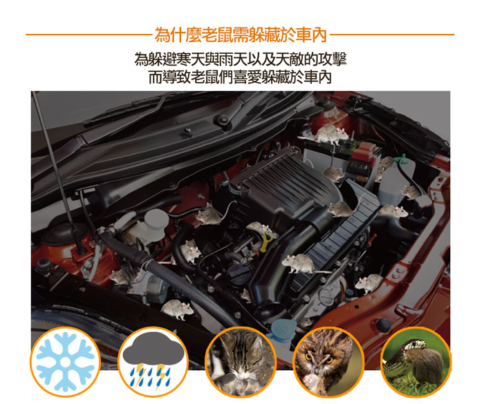 車子專用驅鼠器,驅老鼠,驅貓狗