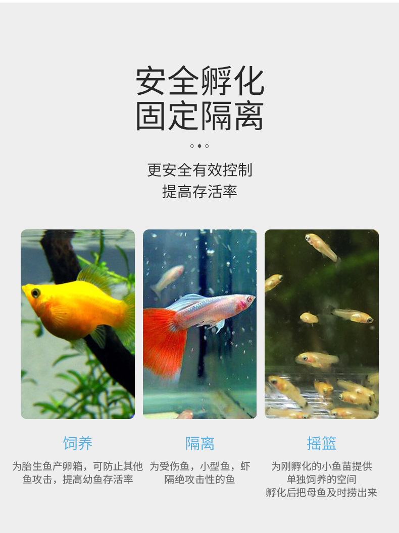 孵化隔離箱黑色白色壓克力魚缸龜缸產卵繁殖隔離盒養烏龜隔離箱孔雀魚孵化盒 優思居 Rakuten樂天市場