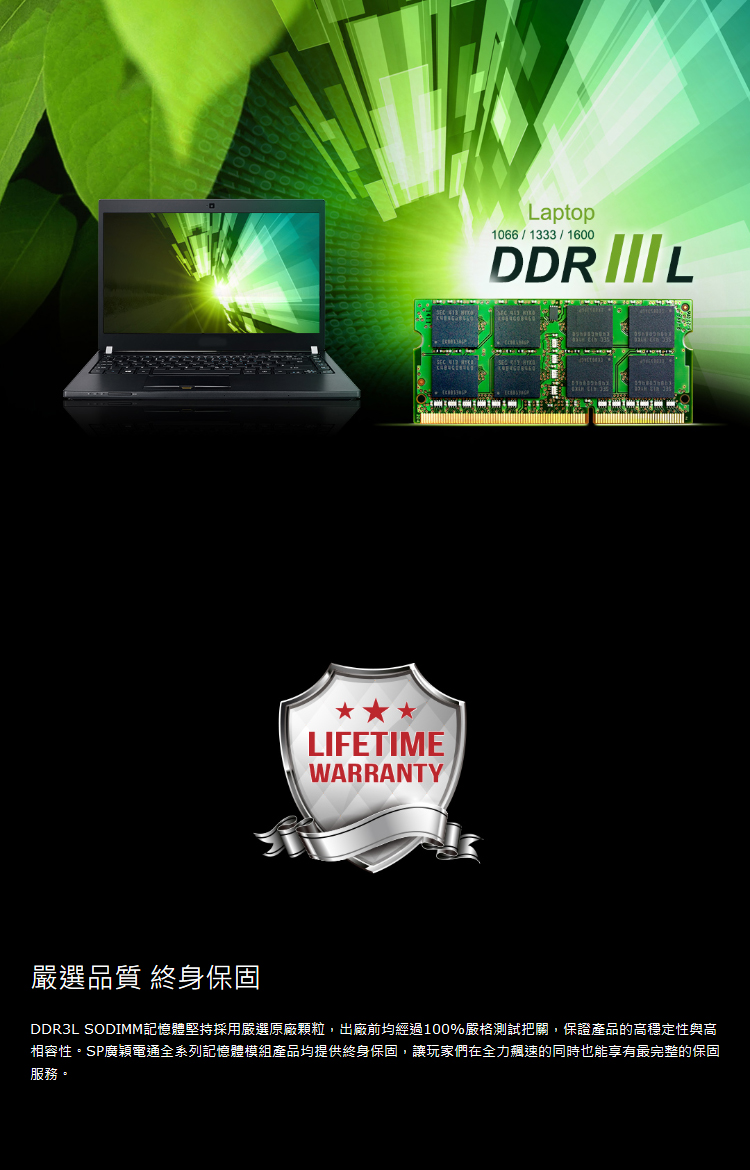 RAM4G31_01.jpg