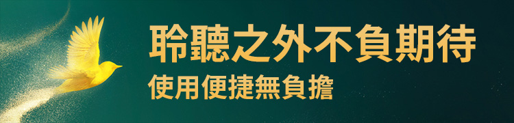 主動降噪真無線藍牙耳機