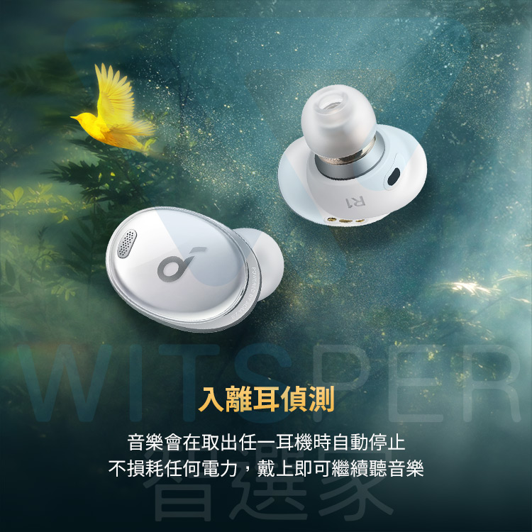 主動降噪真無線藍牙耳機
