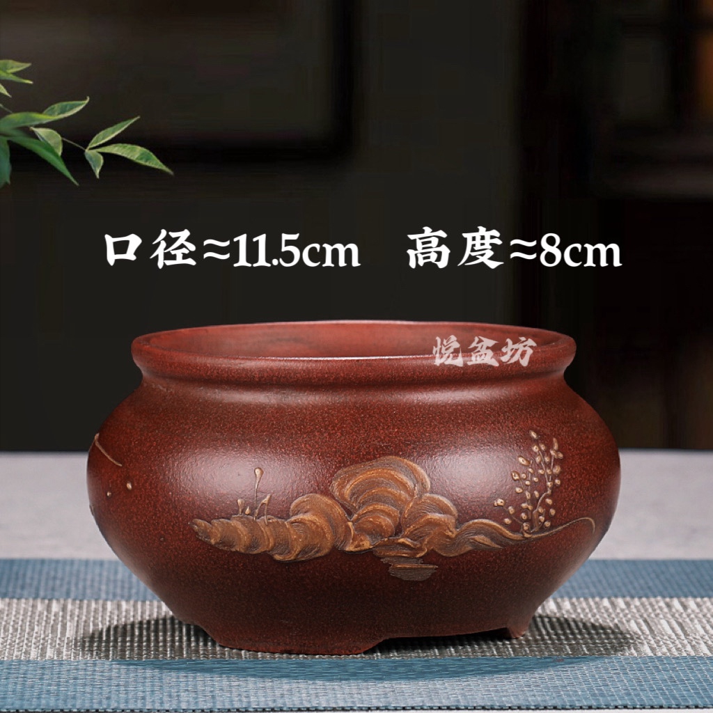 宜興紫砂花盆蘭花盆景盆栽室內多肉植物特大號精品花盆栽盆陶瓷大