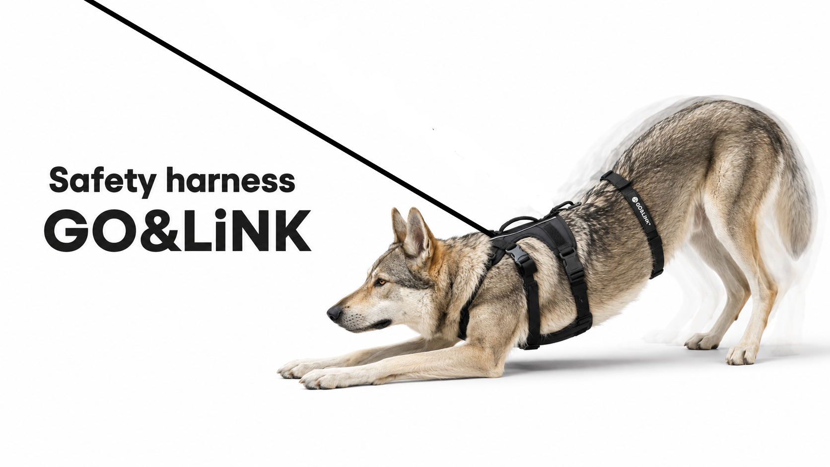 GO&LiNK 防掙脫腰帶