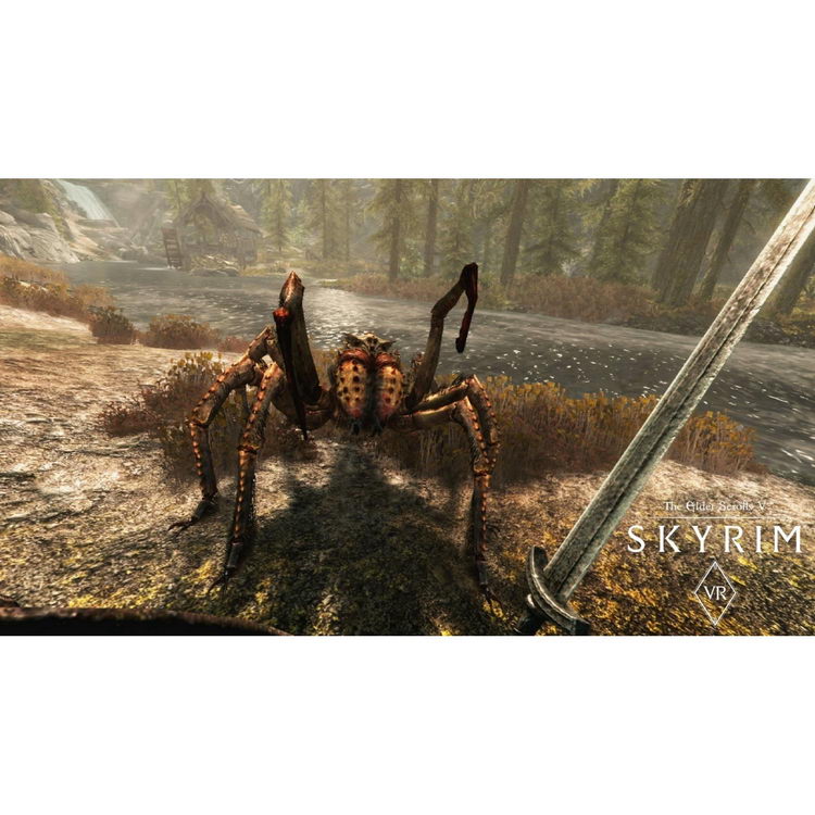 PS4 VRC Wjb5ѻVR The Elder Scrolls V Skyrim VR