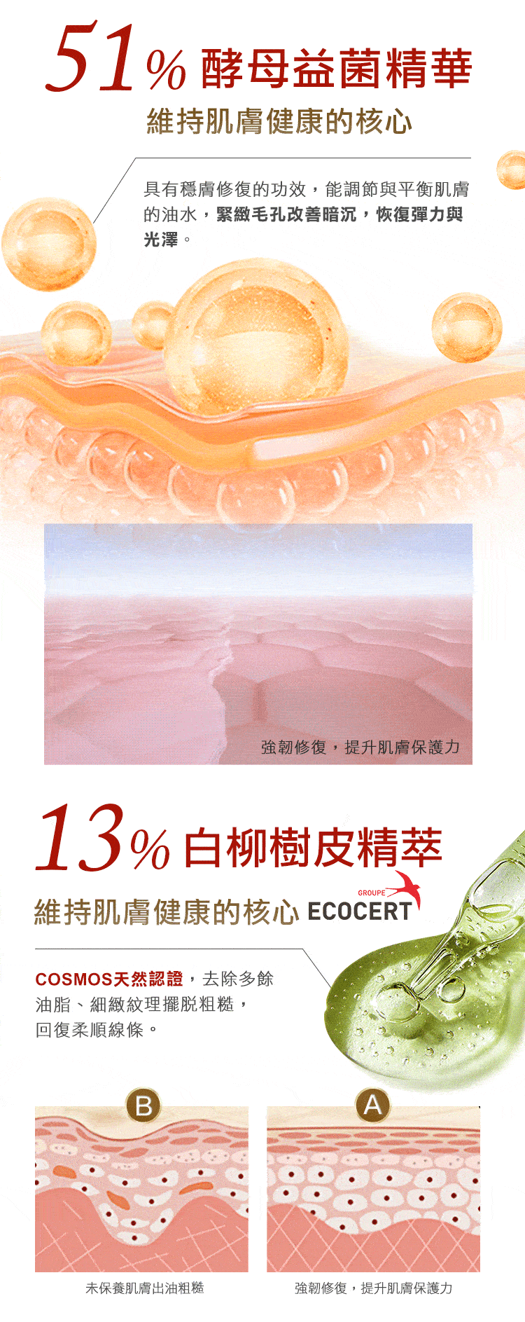 51% 酵母益菌精華維持肌膚健康的核心具有穩膚修復的功效,能調節與平衡肌膚的油水,緊緻毛孔改善暗沉,恢復彈力與光澤。強韌修復,提升肌膚保護力1.3% 白柳樹皮精萃GROUPE維持肌膚健康的核心 ECOCERTCOSMOS天然認證,去除多餘油脂、細緻紋理擺脫粗糙,回復柔順線條。BA未保養肌膚出油粗糙強韌修復,提升肌膚保護力