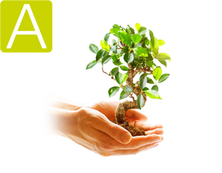 Amica EBI-8980 - 詳情5