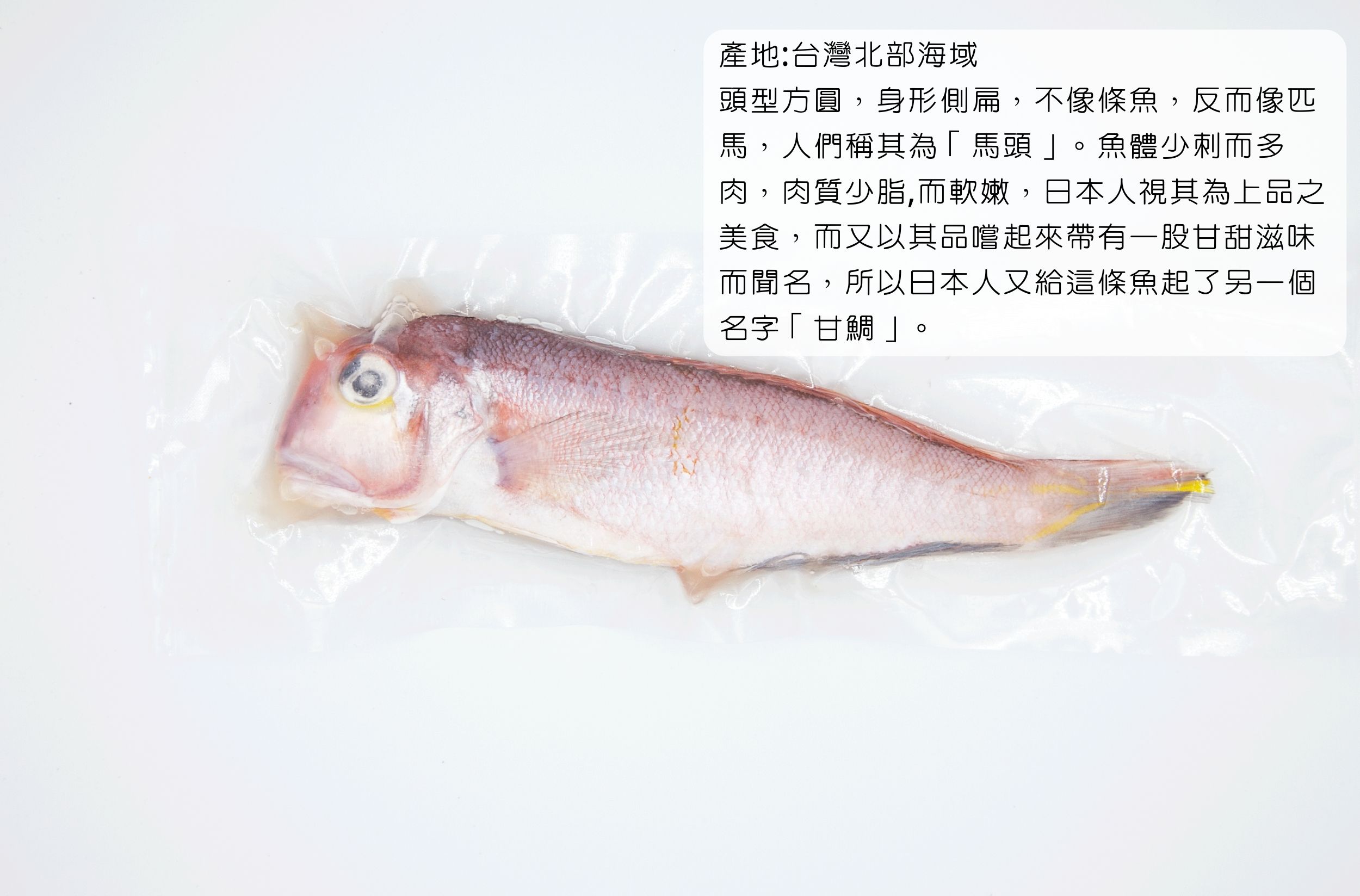 台灣馬頭魚甘鯛1尾0g 10 包台灣海產冷凍真空包裝 暴走海鮮 Rakuten樂天市場