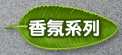 香氛系列