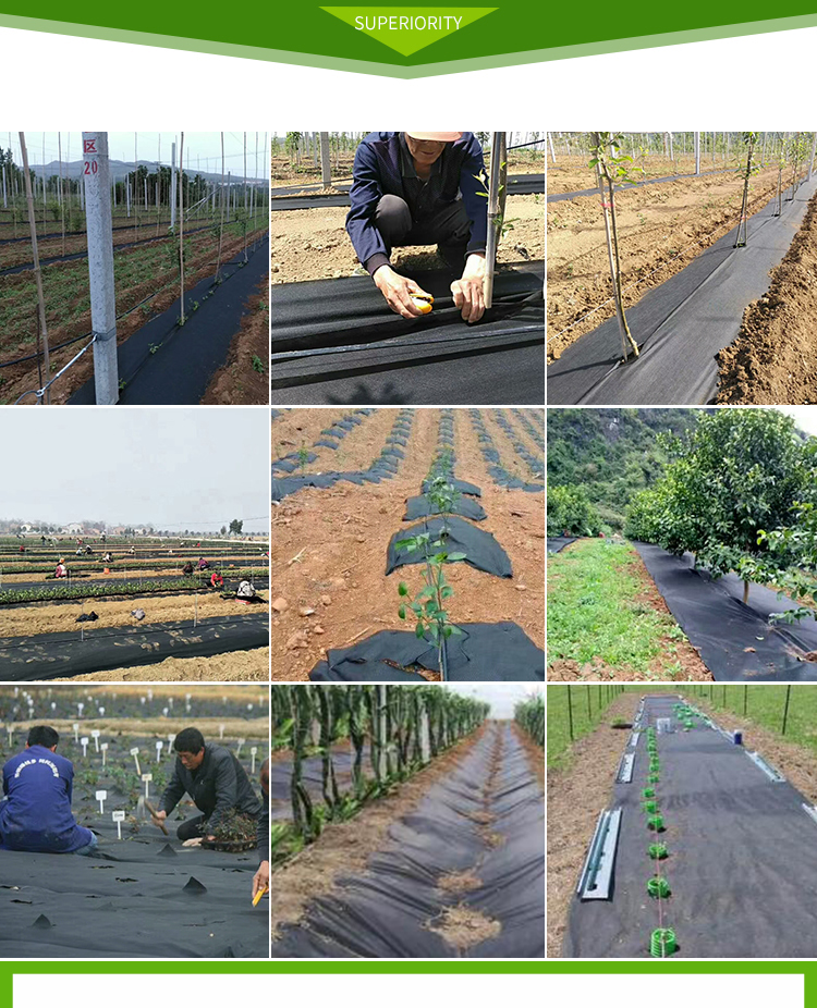 生態防草布果樹果園除草布無紡地布可降解遮蓋草地膜農用耐用新型| 小山