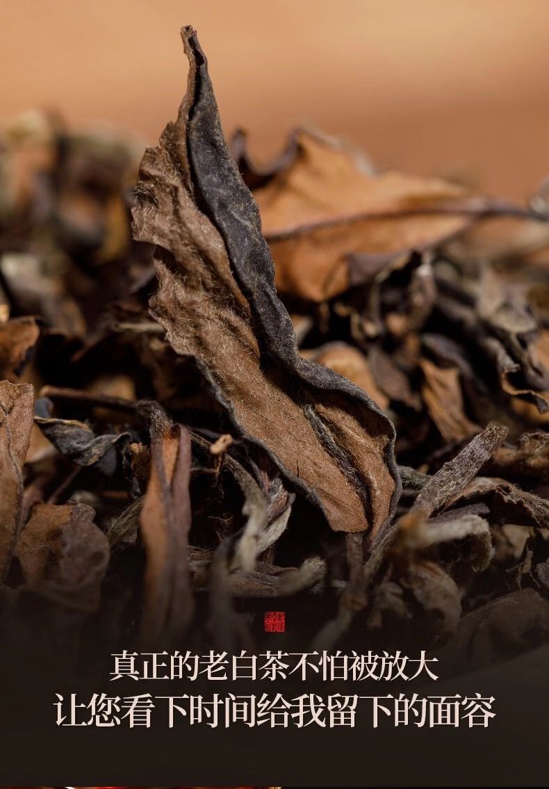 福鼎白茶　陳年老白茶　秋寿眉　350g 中国茶 imgrc0158015989.jpg