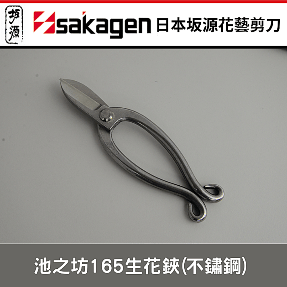 日本sakagen坂源花藝剪刀手創165系列生花鋏 不鏽鋼 池之坊 Xlk 以西結國際直營店 樂天市場rakuten