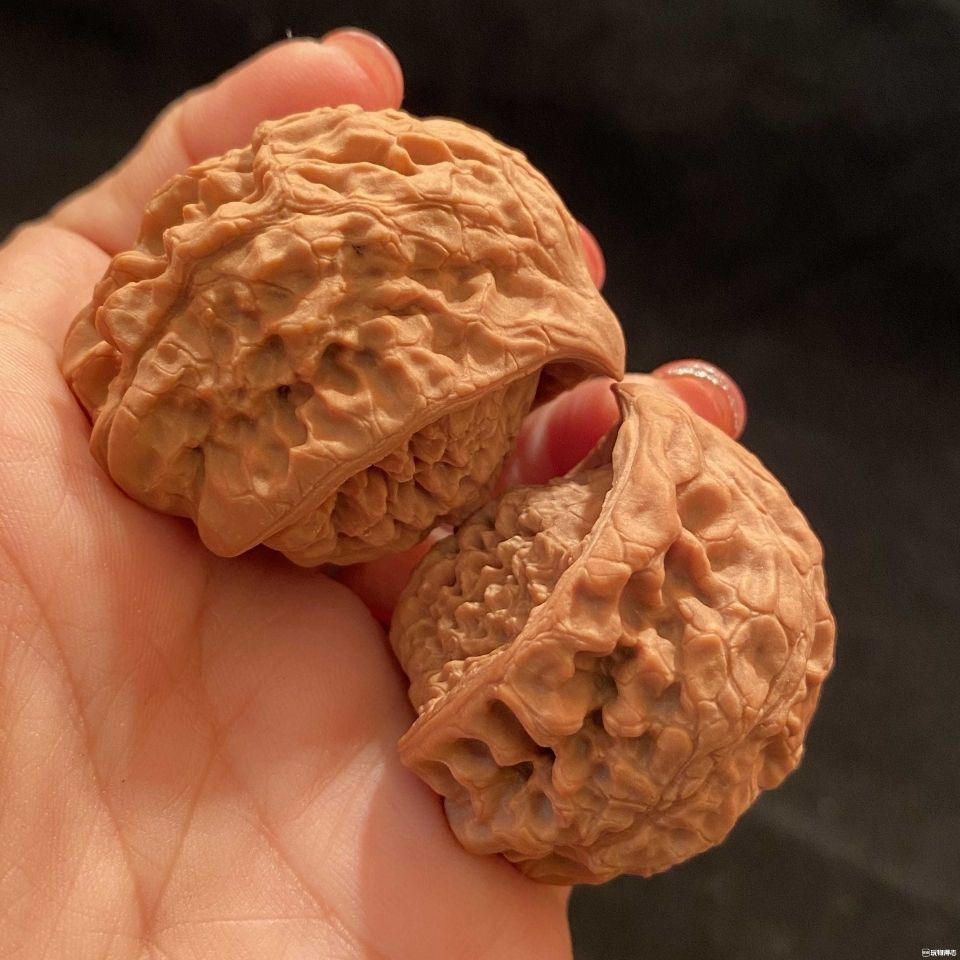 天然異型核桃蛇頭鷹嘴聚寶盆官帽尺寸36-48之間h711 | 花田小窩| 樂天