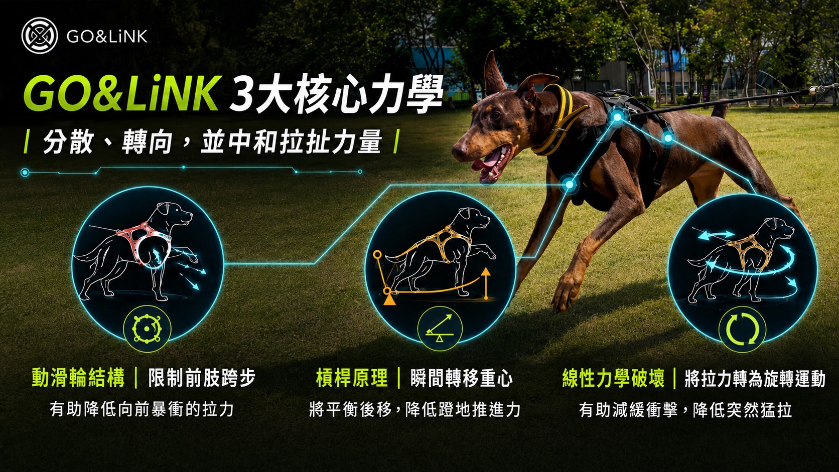 GO&LiNK 防暴衝訓練胸背帶