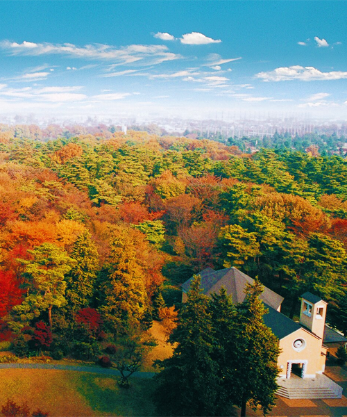 【國營昭和紀念公園】日本觀光振興協會精選賞楓景點