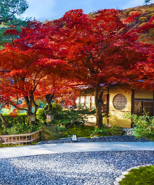 【嵐山】日本觀光振興協會精選賞楓景點