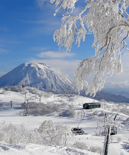 北海道-新雪谷度假村