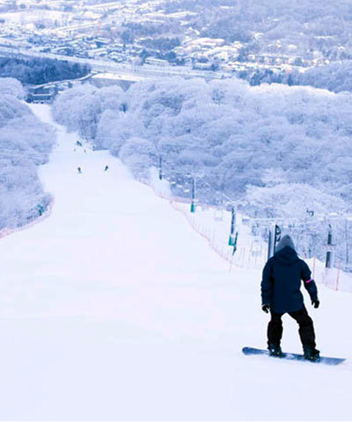 長野-輕井澤王子大飯店滑雪場