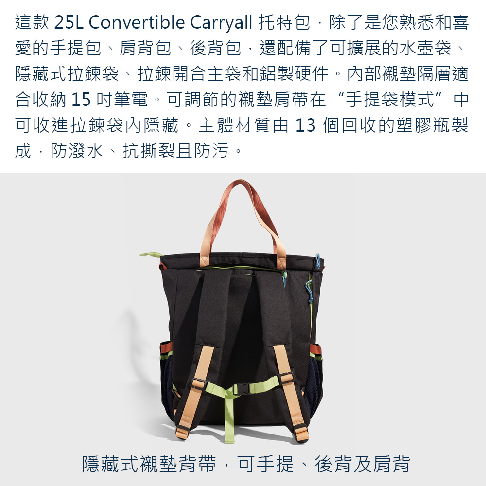 25L Convertible Carryall