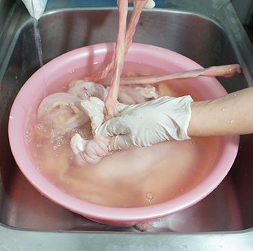 4.手工清洗新鮮溫體豬肚及小腸將新鮮小腸由內翻轉而外
