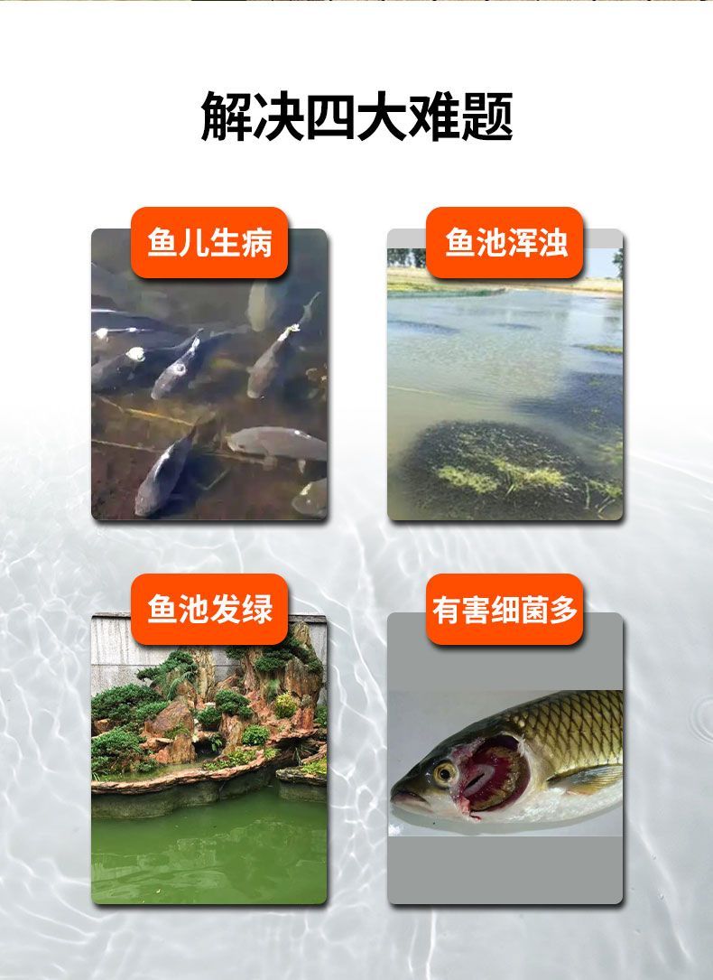 台灣公司超低價】魚池水循環過濾系統大型錦鯉池凈水過濾器室外水池外置