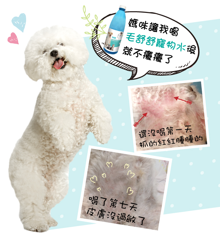毛舒舒寵物全方位益菌保健飲1000ml 6入 都會新貴購物網直營店 樂天市場rakuten