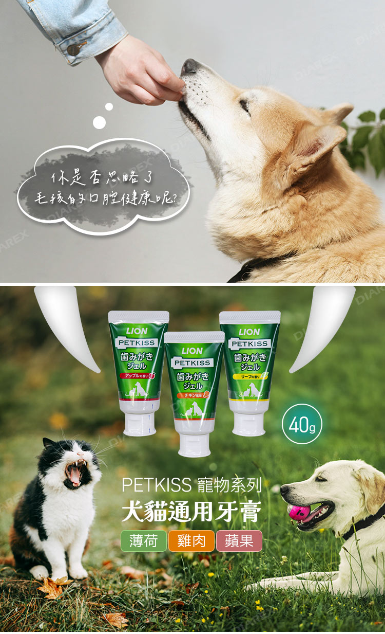 日本獅王lion犬貓牙膏推薦