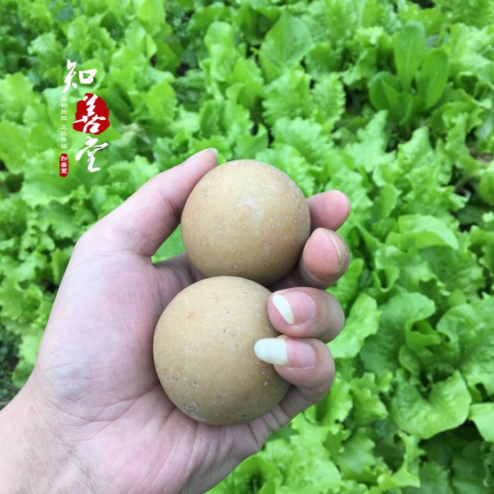 包郵天然夜光石夜明珠原石螢石熒光石頭夜光石原石發發光奇石| 協貿國際