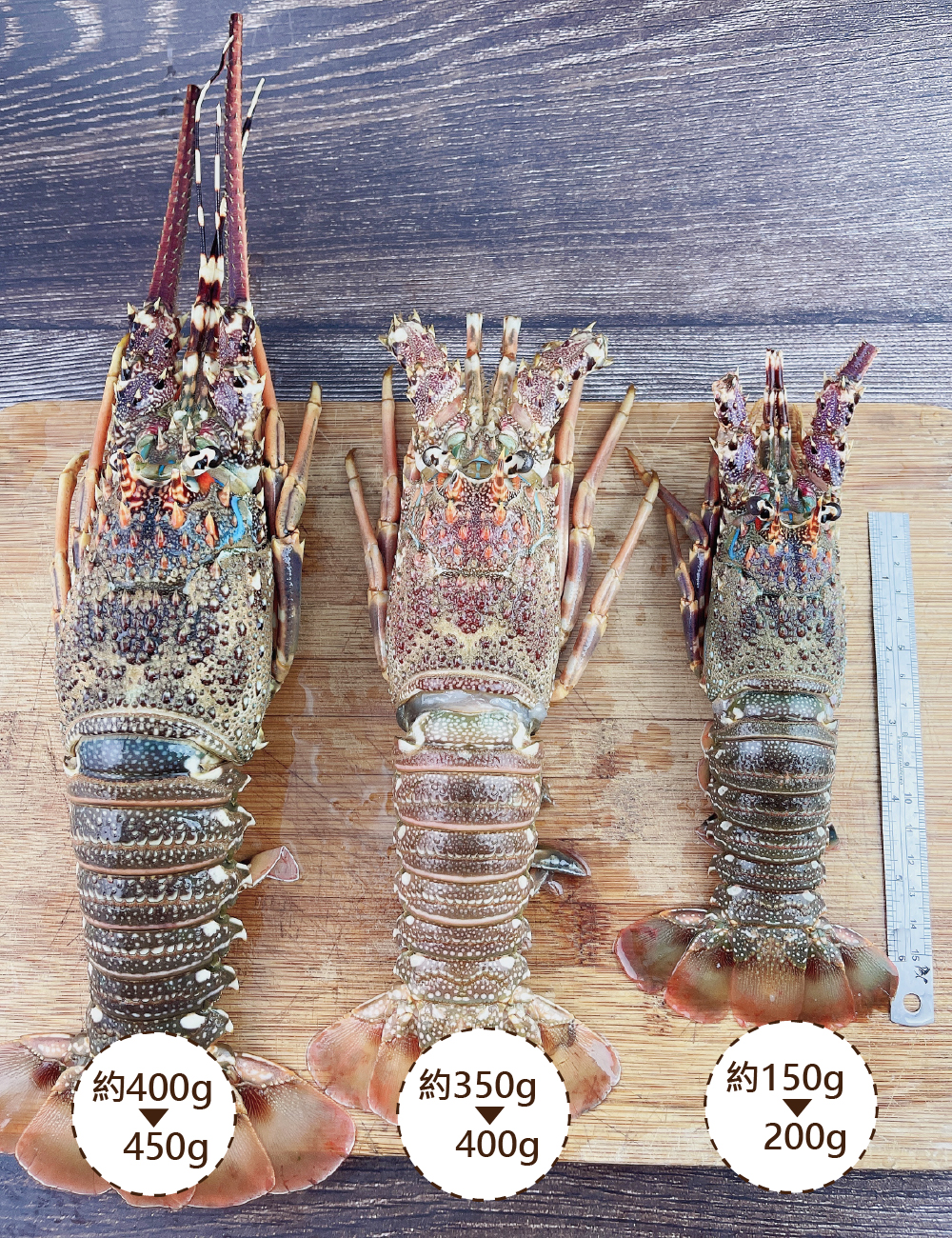 金海昌水產 青殼龍蝦 150 0g 隻 單入 Pchome 商店街