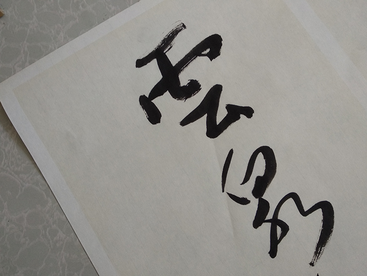 沈鵬書法對聯 沈鵬書法對聯