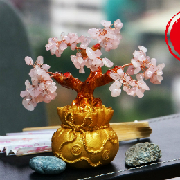 【吉祥開運坊】招財樹系列