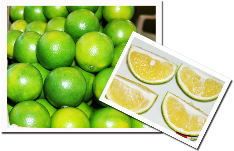 仲菁农产宅配 |台湾乐天市场:71仲菁71台南东原名产柳丁30斤装