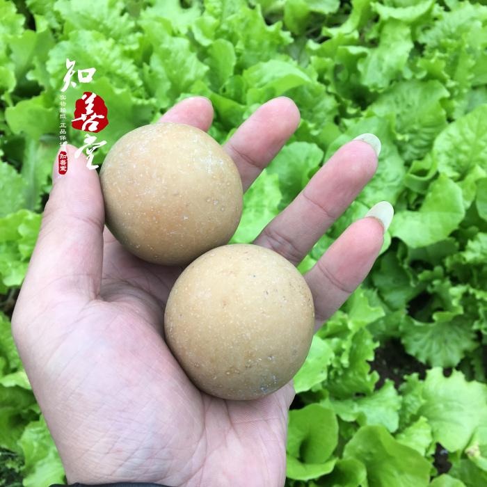 包郵天然夜光石夜明珠原石螢石熒光石頭夜光石原石發發光奇石| 協貿國際