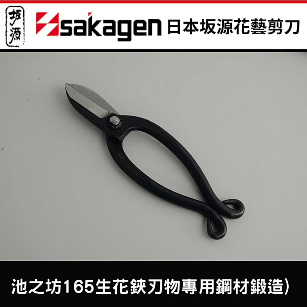 日本sakagen坂源花藝剪刀手創165系列生花鋏 刃物專用鋼材鍛造 池之坊 Xlk 以西結國際直營店 樂天市場rakuten