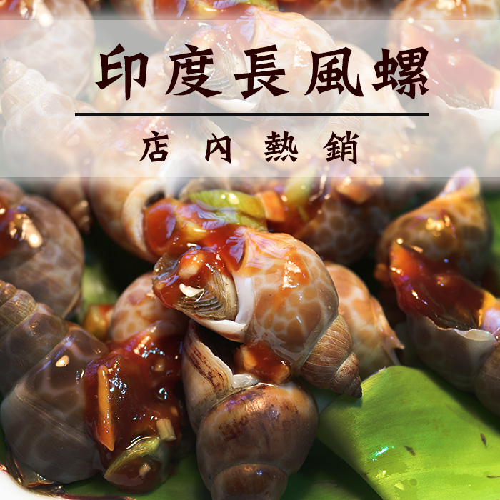 送专业用胡椒粉!感谢电视媒体推荐超大尺寸凤螺/烤肉首选【陆霸王】