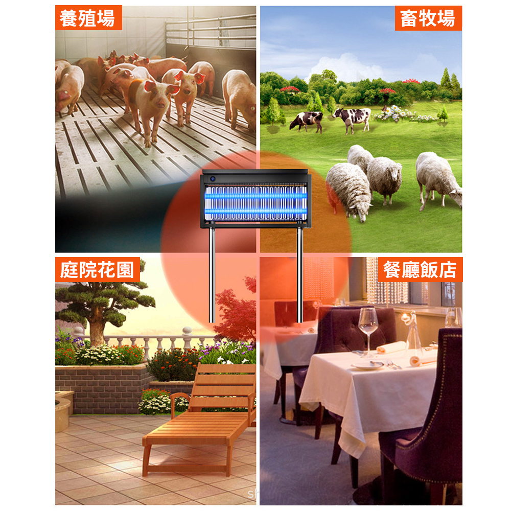 養殖場畜牧場庭院花園餐廳飯店