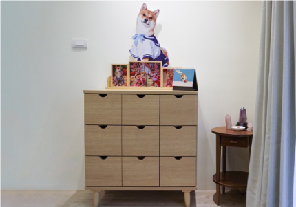 LUFFY　木質整理櫃 