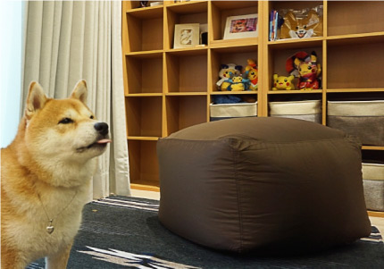 懶骨頭沙發布套