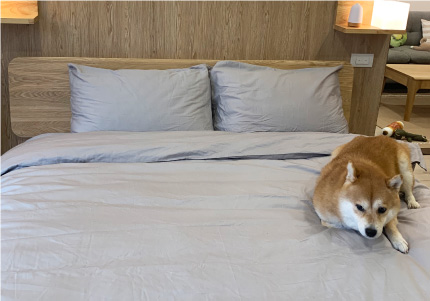 N　GRIP　100%純棉寢具