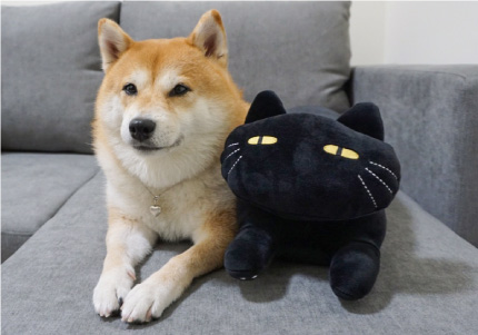 MOCHIMOCHI　黑貓抱枕