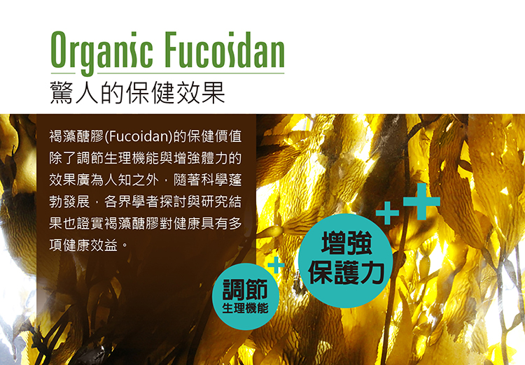 澳洲有機褐藻醣膠(Fucoidan)【大醫生技】