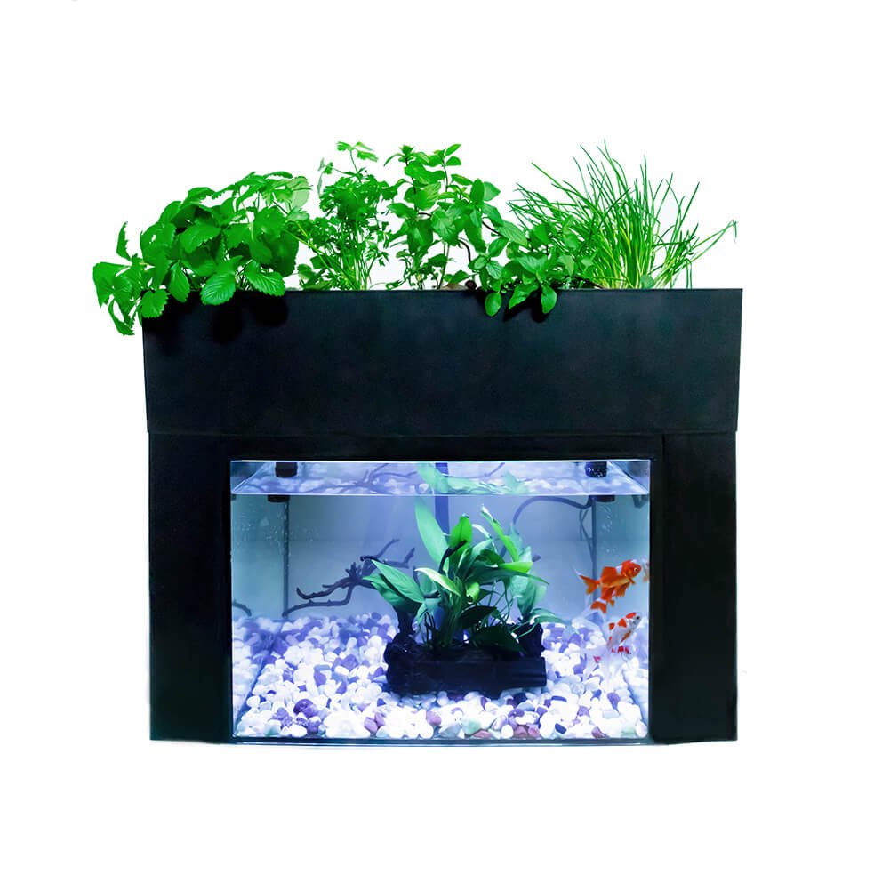 日本kin日本製aquaponics 魚菜共生機水耕栽培養耕共生種菜機適用45cm魚缸水族箱家用種菜機親子同樂禮物日本必買代購 Pchome商店街 台灣no 1 網路開店平台