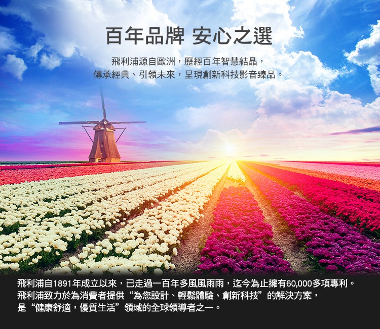 PHILIPS飛利浦65型4K HDR安卓電視 65PUH7374 另有特價 HD-65UDF28 HD-65RDF68