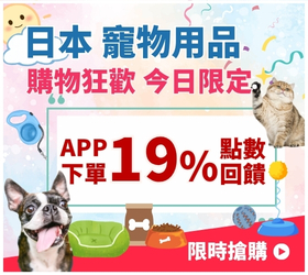單日10%點數
